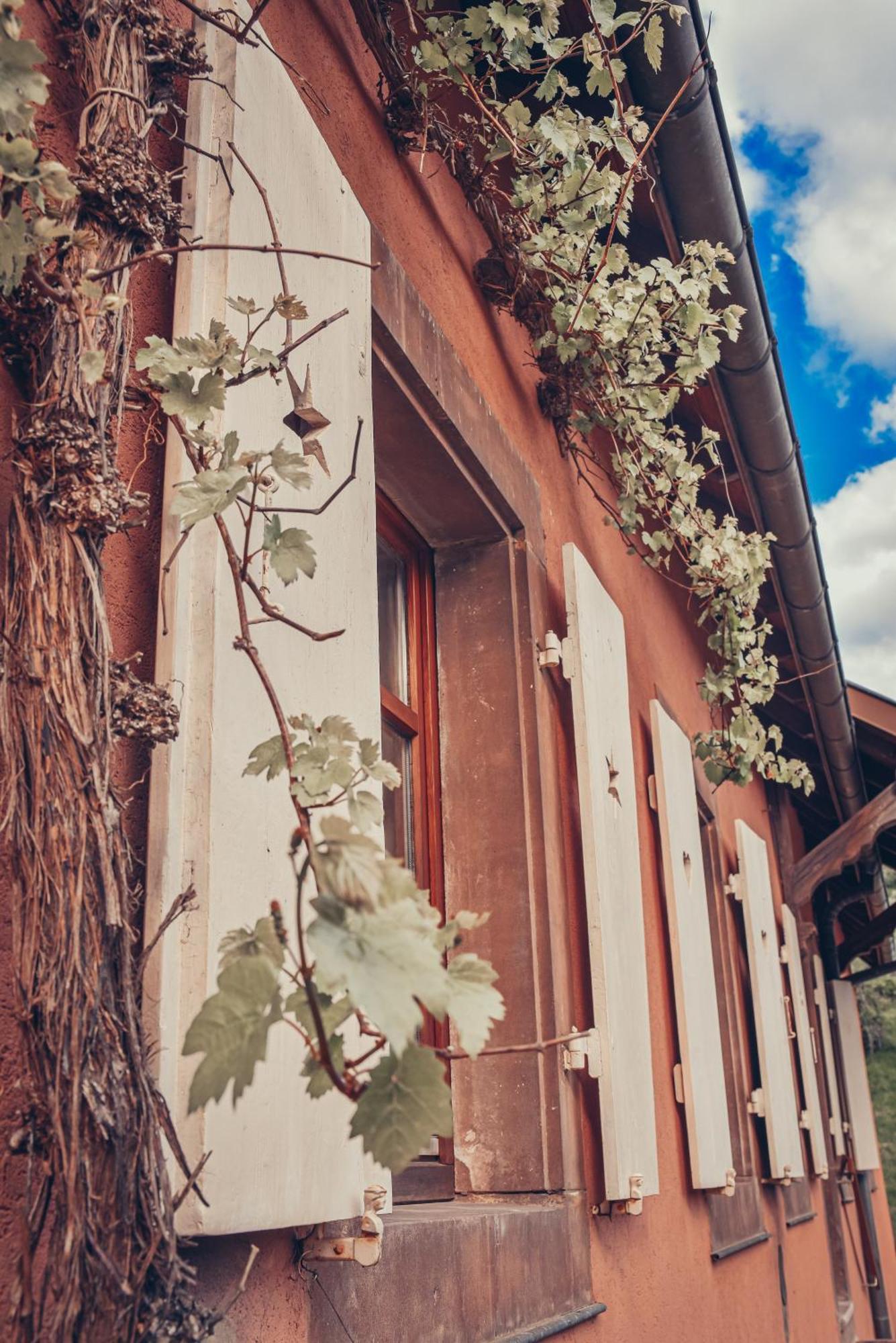La Fermette Vosgienne De La Goutte Apartment Steige Exterior foto