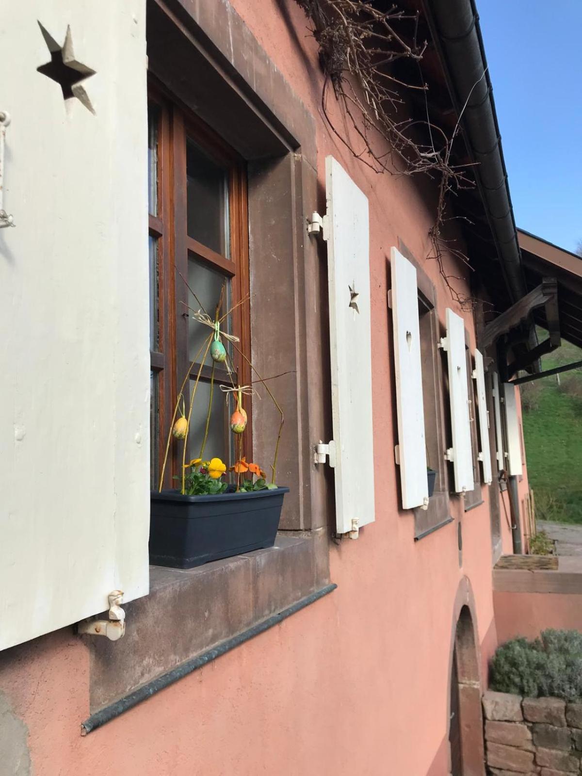La Fermette Vosgienne De La Goutte Apartment Steige Exterior foto