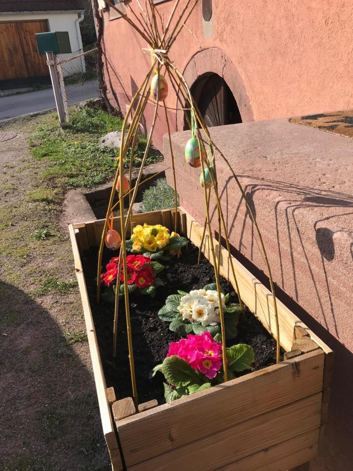 La Fermette Vosgienne De La Goutte Apartment Steige Exterior foto